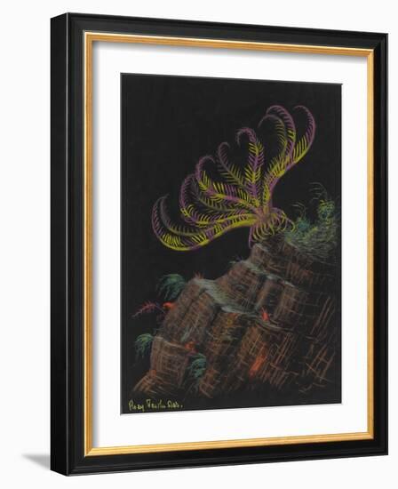 Rosy Feather Star-Philip Henry Gosse-Framed Giclee Print