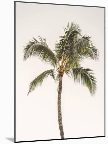 Rosy Palm Tree-Leah Straatsma-Mounted Art Print
