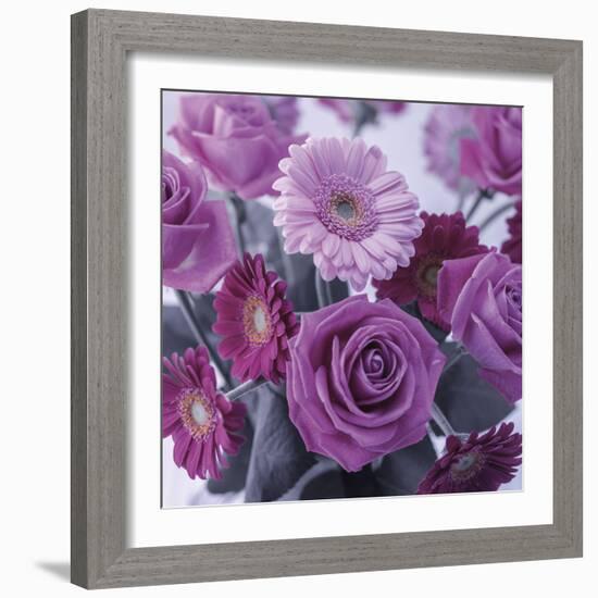 Rosy Posy-Assaf Frank-Framed Giclee Print