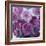 Rosy Posy-Assaf Frank-Framed Giclee Print