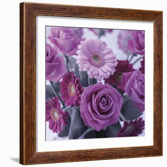 Rosy Posy-Assaf Frank-Framed Giclee Print