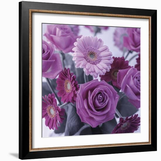 Rosy Posy-Assaf Frank-Framed Giclee Print