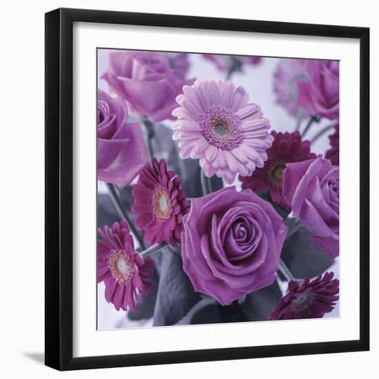 Rosy Posy-Assaf Frank-Framed Giclee Print