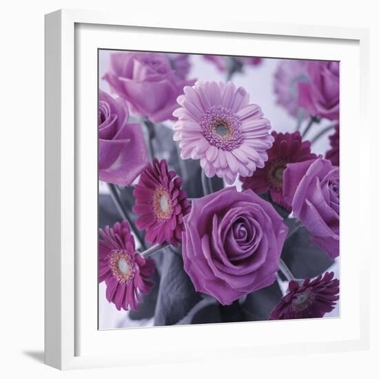 Rosy Posy-Assaf Frank-Framed Giclee Print