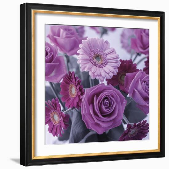 Rosy Posy-Assaf Frank-Framed Giclee Print