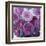 Rosy Posy-Assaf Frank-Framed Giclee Print