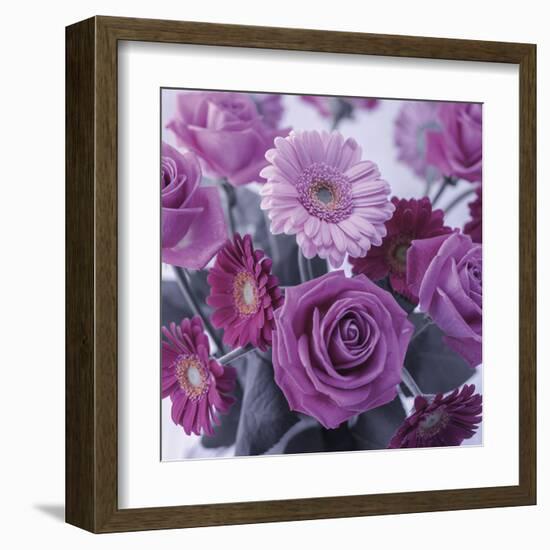 Rosy Posy-Assaf Frank-Framed Giclee Print