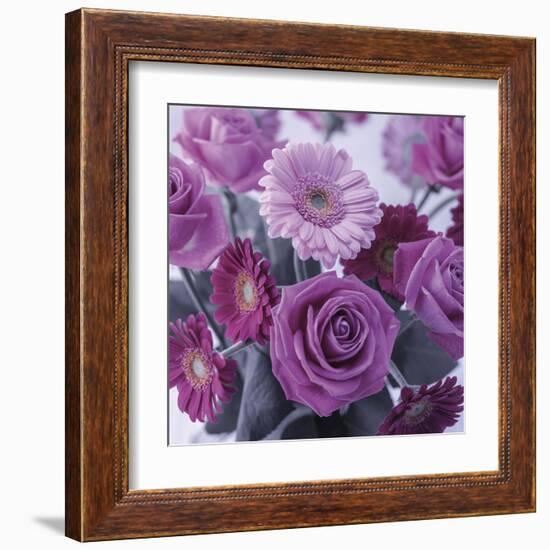 Rosy Posy-Assaf Frank-Framed Giclee Print