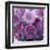 Rosy Posy-Assaf Frank-Framed Giclee Print