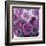 Rosy Posy-Assaf Frank-Framed Giclee Print