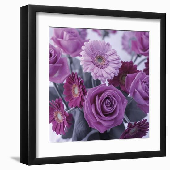 Rosy Posy-Assaf Frank-Framed Giclee Print