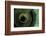 Rotated-Heidi Westum-Framed Photographic Print