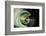 Rotating-Heidi Westum-Framed Photographic Print