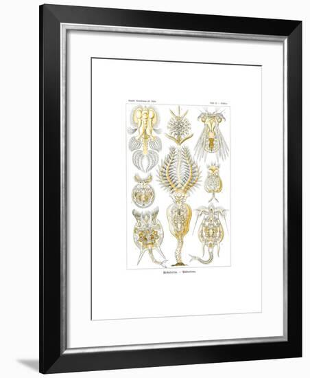 Rotatoria, 1899-1904-null-Framed Giclee Print