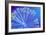 Rotifer Colony-Sinclair Stammers-Framed Photographic Print