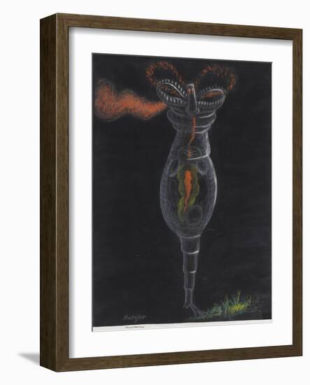 Rotifer-Philip Henry Gosse-Framed Giclee Print