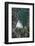 Rottach-Egern, Tegernsee, Lake, Aerial View, Mountain Lake-Frank Fleischmann-Framed Photographic Print