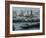 Rotterdam Port, Holland, Europe-Woolfitt Adam-Framed Photographic Print