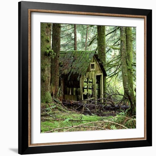 Rotting Wooden Shed Covered in Moss, Washington State, Usa-Mark Taylor-Framed Photographic Print