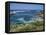 Rottnest Island, Perth, Western Australia, Australia, Pacific-Ken Gillham-Framed Premier Image Canvas