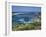 Rottnest Island, Perth, Western Australia, Australia, Pacific-Ken Gillham-Framed Photographic Print