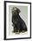 Rottweiler and Puppy-Sandra Brue-Framed Giclee Print