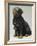 Rottweiler and Puppy-Sandra Brue-Framed Giclee Print
