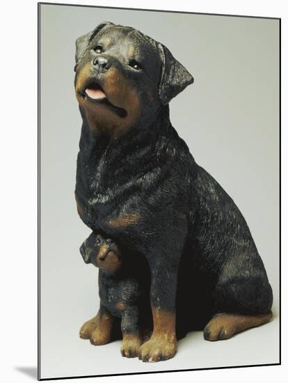 Rottweiler and Puppy-Sandra Brue-Mounted Giclee Print