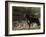 Rottweiler Dog, Illinois, USA-Lynn M. Stone-Framed Photographic Print