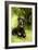 Rottweiler Dog Lying on Grass-null-Framed Photographic Print