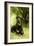 Rottweiler Dog Lying on Grass-null-Framed Photographic Print