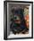 Rottweiler Dog Portrait, Illinois, USA-Lynn M. Stone-Framed Photographic Print