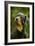 Rottweiler Dog with Head Tilted-null-Framed Photographic Print