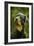 Rottweiler Dog with Head Tilted-null-Framed Photographic Print