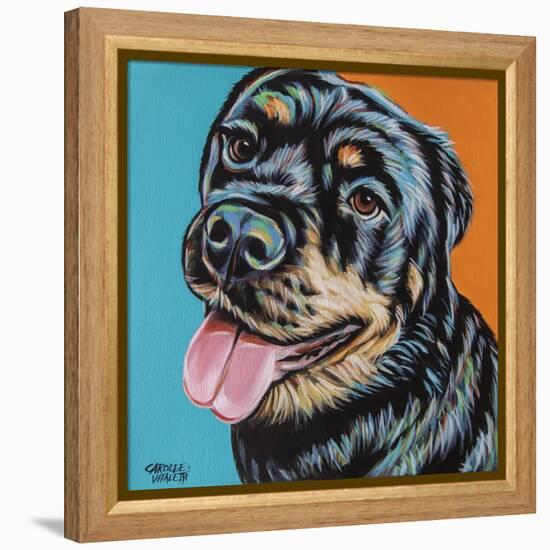 Rottweiler I-Carolee Vitaletti-Framed Stretched Canvas