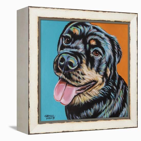 Rottweiler I-Carolee Vitaletti-Framed Stretched Canvas