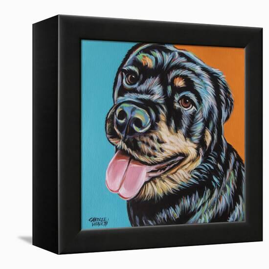 Rottweiler I-Carolee Vitaletti-Framed Stretched Canvas
