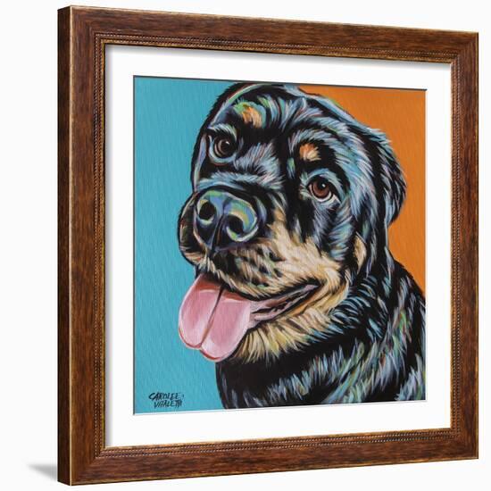 Rottweiler I-Carolee Vitaletti-Framed Art Print