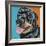 Rottweiler I-Carolee Vitaletti-Framed Art Print