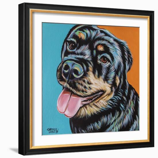 Rottweiler I-Carolee Vitaletti-Framed Art Print