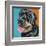 Rottweiler I-Carolee Vitaletti-Framed Art Print