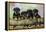 Rottweiler Puppies in a Row Looking over Log-null-Framed Premier Image Canvas