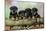 Rottweiler Puppies in a Row Looking over Log-null-Mounted Photographic Print