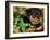 Rottweiler Puppy in Grass-Adriano Bacchella-Framed Photographic Print