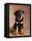 Rottweiler Puppy-Jim Craigmyle-Framed Premier Image Canvas