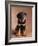 Rottweiler Puppy-Jim Craigmyle-Framed Photographic Print