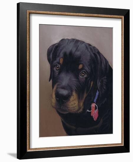 Rottweiler Solo-Karie-Ann Cooper-Framed Giclee Print