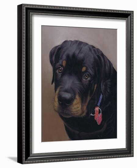 Rottweiler Solo-Karie-Ann Cooper-Framed Giclee Print