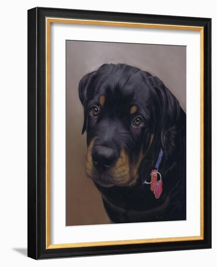 Rottweiler Solo-Karie-Ann Cooper-Framed Giclee Print