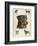 Rottweiler-Libero Patrignani-Framed Art Print